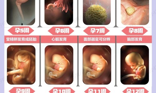 胰头癌病人能吃什么网 - 胰头癌忌口,胰头癌忌口